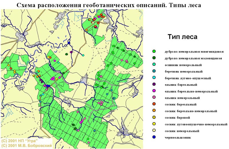 Составьте геоботаническое описание растений определенной местности по предложенному плану